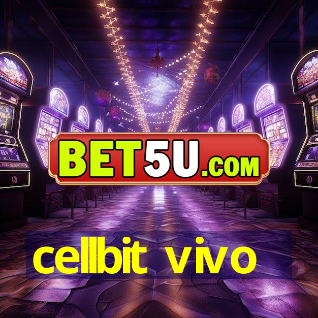 cellbit vivo